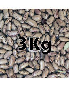 ORG PINTO BEANS  3KG