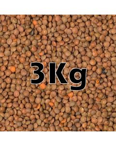 BROWN LENTILS ORG. 3KG