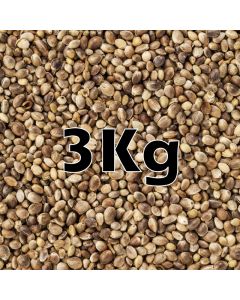 HEMP SEED ORG  3KG