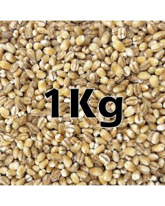 BARLEY PEARL ORG. 1KG