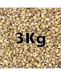 BARLEY PEARL ORG. 3KG