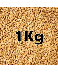 WHEAT GRAIN 1KG ORG.