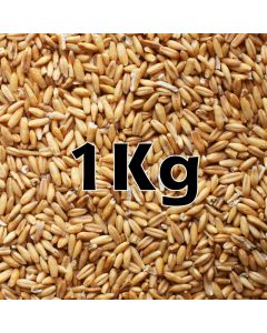 OAT GROATS ORG 1KG