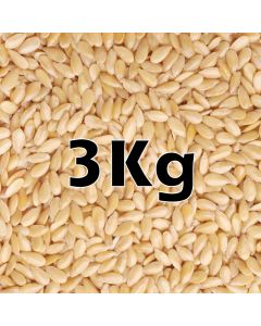 SESAME SEEDS ORG 3KG