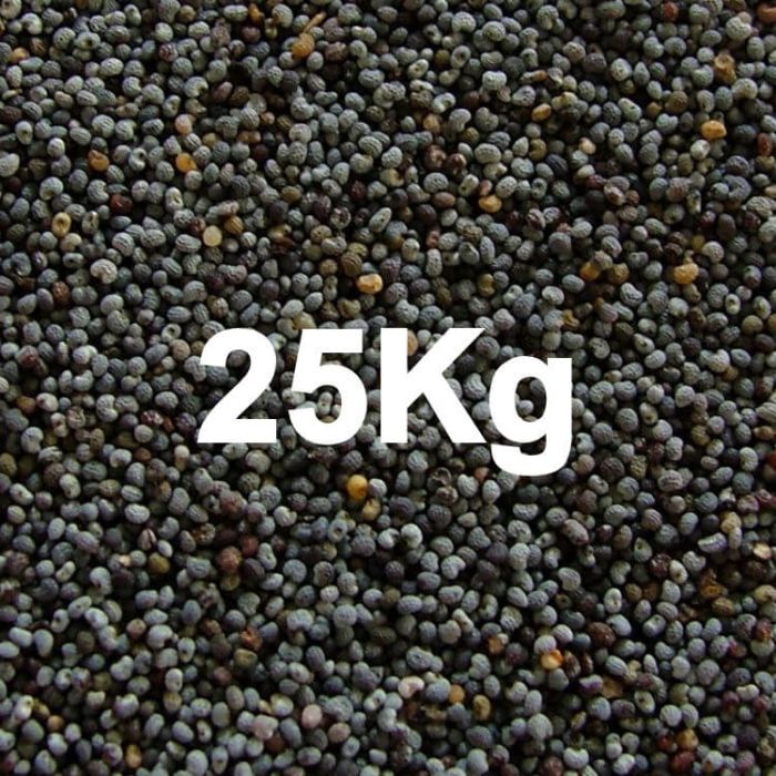 POPPY SEED BLUE  25KG