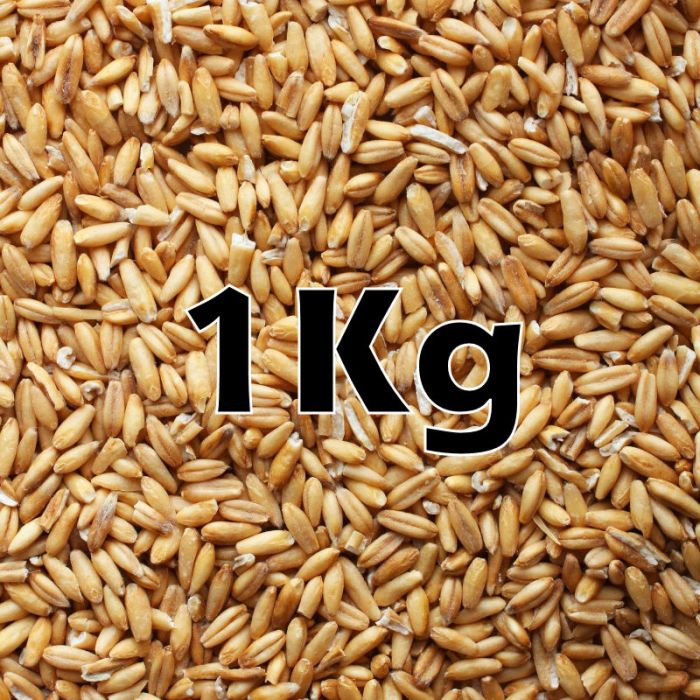 OAT GROATS ORG 1KG